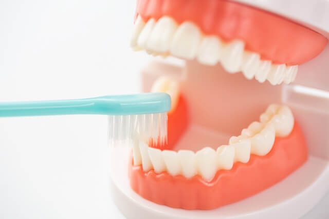 虫歯・歯周病リスクの軽減